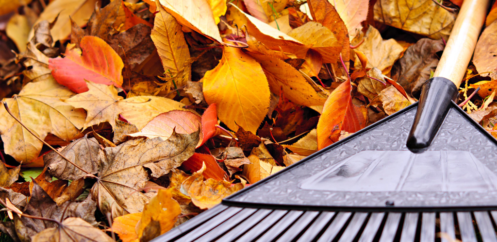 tuinieren maar met Wolfslaar