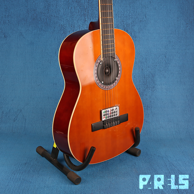 Gitaar met ingebouwde Bluetooth Speakers Parels Breda