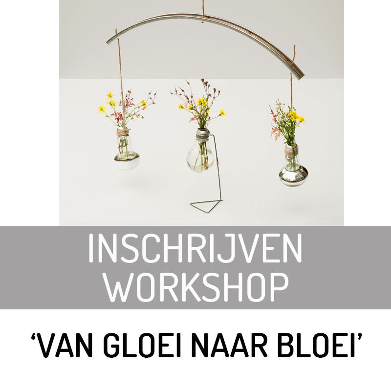 inschrijven-webshop-blok Inschrijven Workshop 'van Gloei naar Bloei'