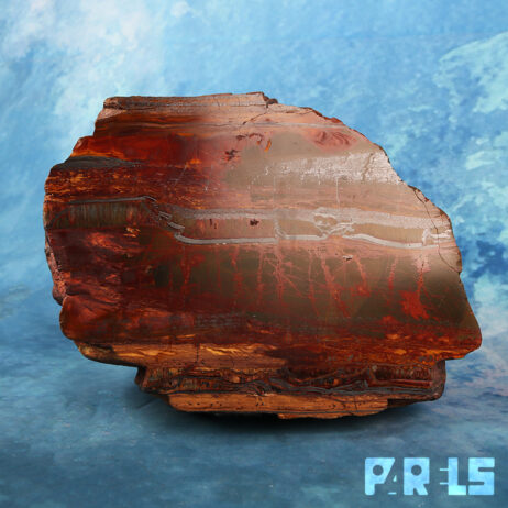 versteend hout fossiel petrified wood kopen gepolijst 6kg mineralen verzameling edelsteen natuursteen fossielen collectie geologie gesteente uniek exemplaar