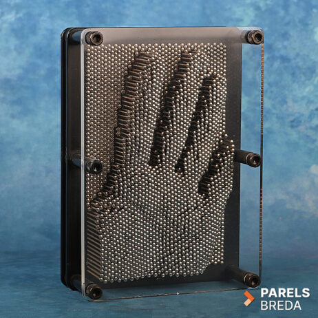 pin art spijkerbord spijkerbed pinnetjes