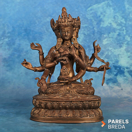 Namgyalma Boeddhistisch Beeld Bronzen Beeld Tibet Nepal Boeddhisme Aziatische Kunst Spiritueel Beeld Godheid Lotustroon Altaarbeeld Verzamelaarsobject Aziatica Meditatie Religieuze Kunst Tibetaanse Kunst Himalaya Kunst Boeddha Decoratie Oosters Interieur Tempelkunst